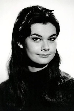 Cover image for Imogen Hassall