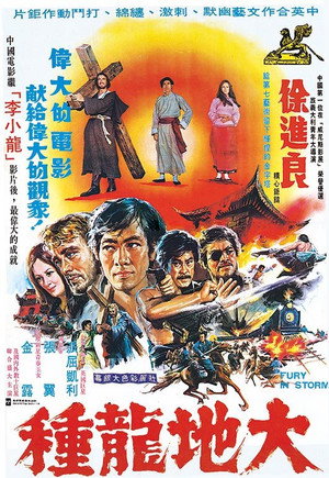 Poster for Fury In Storm