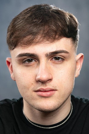 Cover image for Harry Perdios