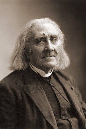 Cover image for Franz Liszt