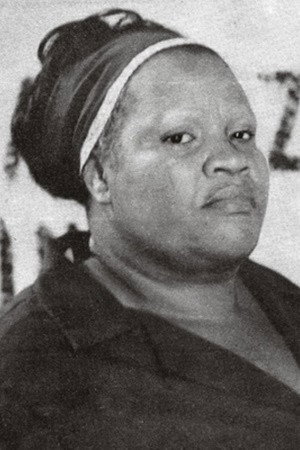 Cover image for Zeni Pereira
