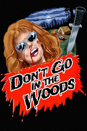 Poster for Don't Go in the Woods