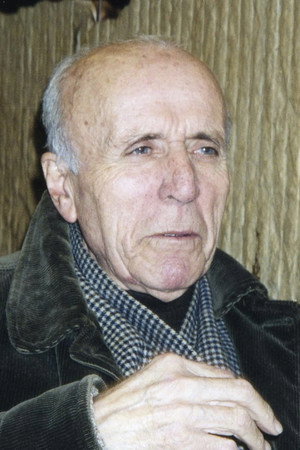 Cover image for Ferdinando Baldi