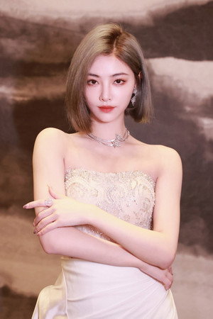 Cover image for Xu Jia Qi