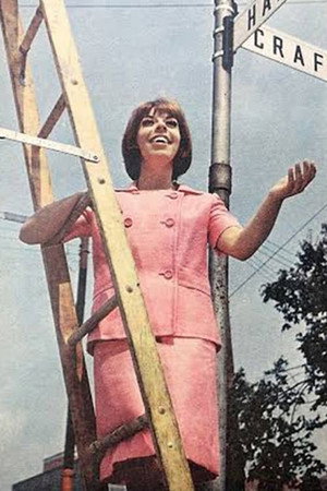 Cover image for Judy Knaiz