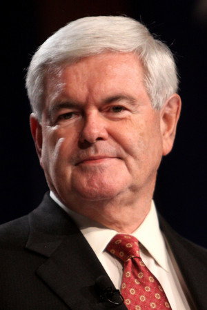 Cover image for Newt Gingrich