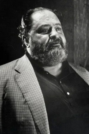 Cover image for Italo Zingarelli