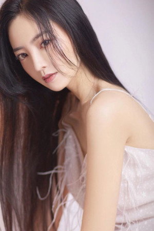 Cover image for Wang Meixin