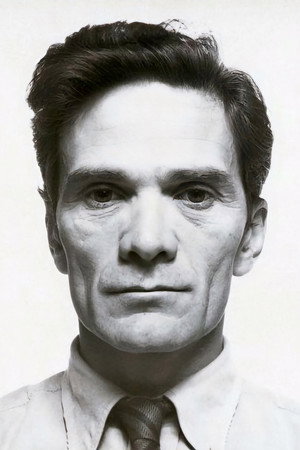Cover image for Pier Paolo Pasolini