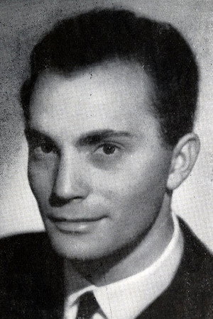 Cover image for Enrico Osterman