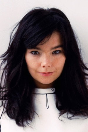Cover image for Björk