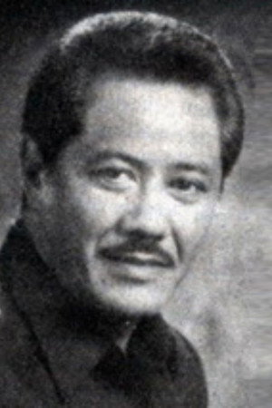 Cover image for Dicky Zulkarnaen
