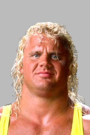 Cover image for Curt Hennig