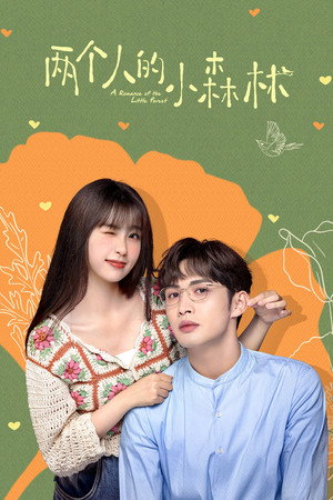 Poster for A Romance of the Little Forest