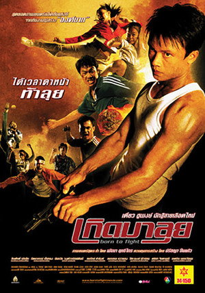 Poster for Born to Fight