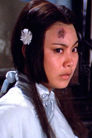 Cover image for 許良美