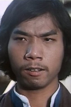 Cover image for Ho Hing-Nam