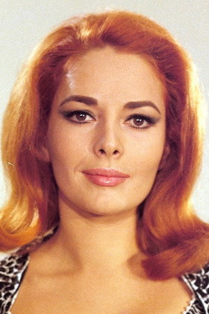 Cover image for Karin Dor
