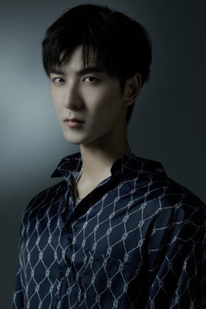 Cover image for Fu Qianwen