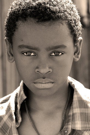 Cover image for Shawn Prince