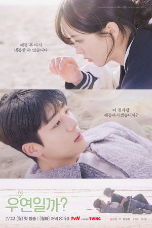 Poster for Serendipity's Embrace