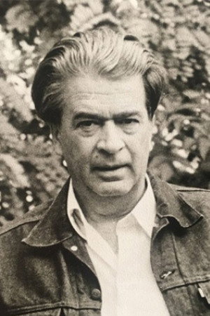Cover image for Zdravko Velimirović