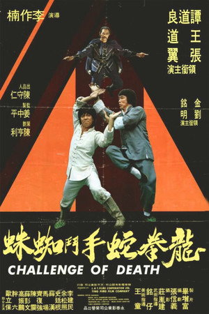 Poster for Вызов смерти