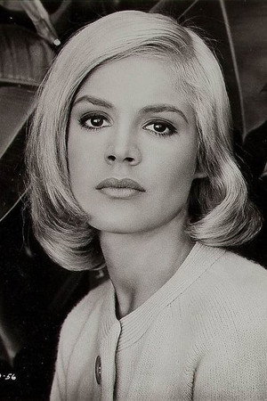 Cover image for Sandra Dee