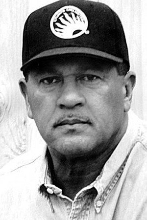 Cover image for Manny Perry