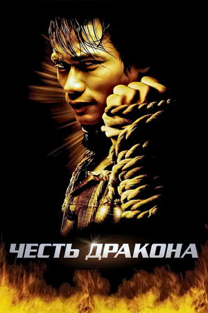 Poster for The Protector