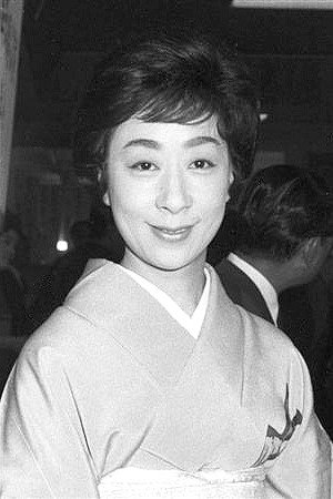 Cover image for 花柳小菊