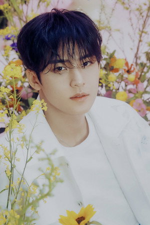 Cover image for 민규