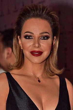 Cover image for Suzan Najm Al Deen