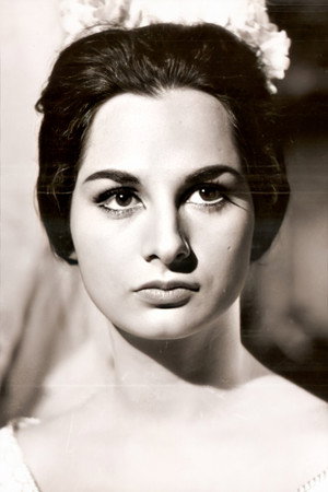 Cover image for Susana Dosamantes