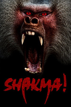 Poster for Шакма
