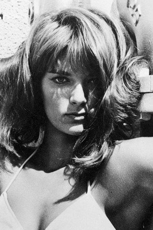 Cover image for Diane Bond