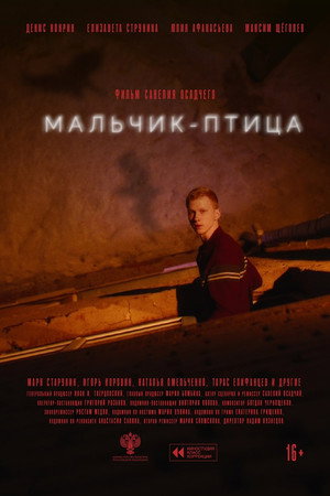 Poster for Мальчик-птица