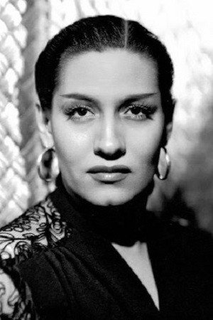 Cover image for Elvira Ríos