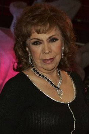 Cover image for Amparo Garrido