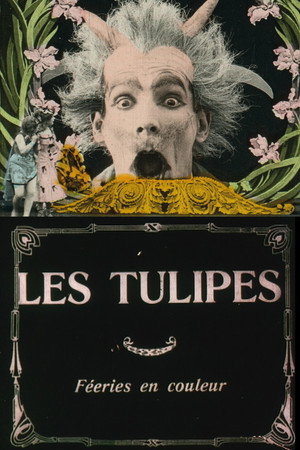 Poster for Тюльпаны