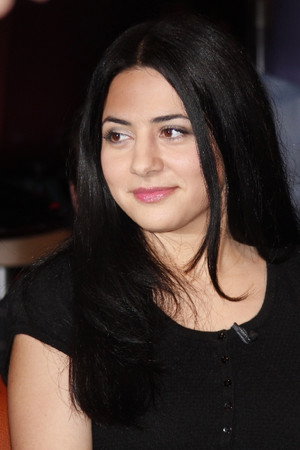 Cover image for Nesrin Samdereli