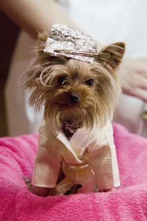 Cover image for Manly "Little Pickles" Ortega