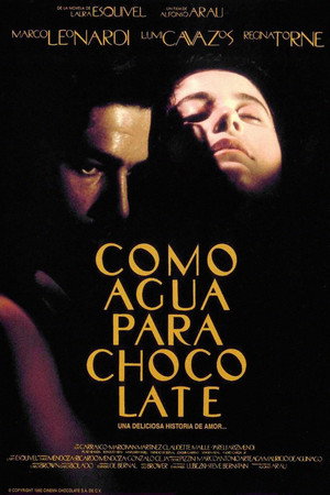 Poster for Like Water for Chocolate