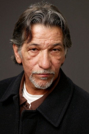 Cover image for Luis Saguar