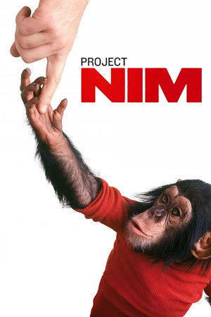 Poster for Проект Ним