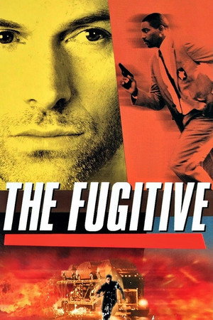 Poster for The Fugitive