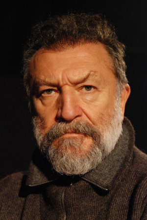 Cover image for Tamer Levent