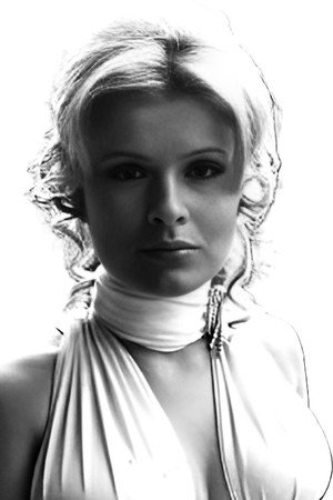 Cover image for Silvana Venturelli