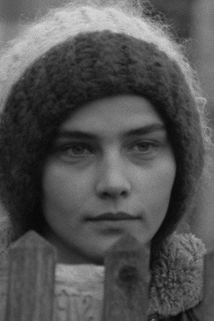 Cover image for Gyöngyvér Vigh