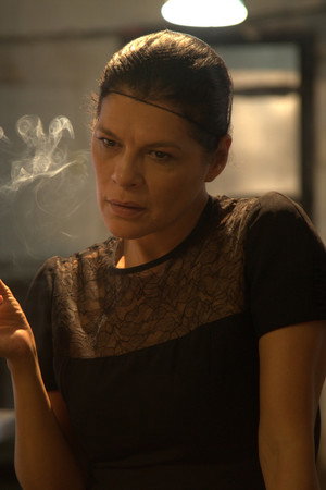Cover image for Juliana Cuervos